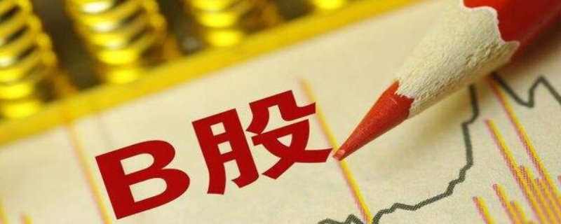 b股是什么意思(图1)