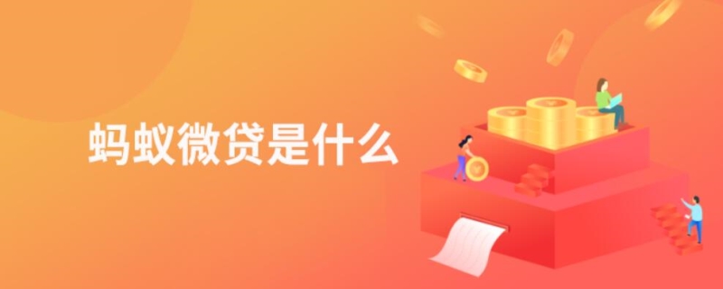 蚂蚁微贷是什么(图1)