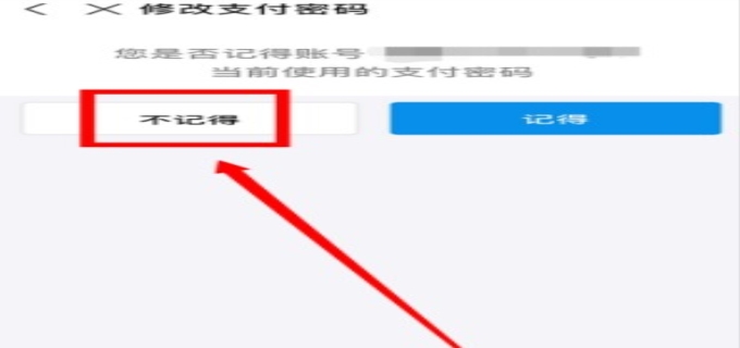 支付宝支付密码忘了怎么办(图1)